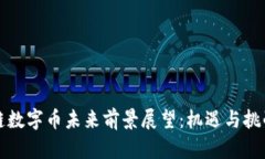 区块链数字币未来前景展