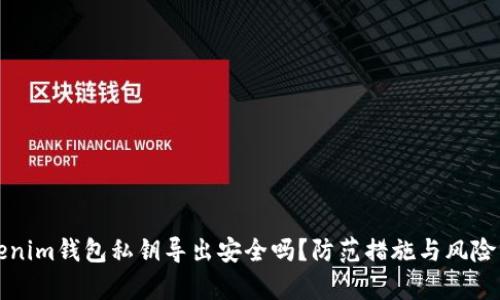 Tokenim钱包私钥导出安全吗？防范措施与风险分析
