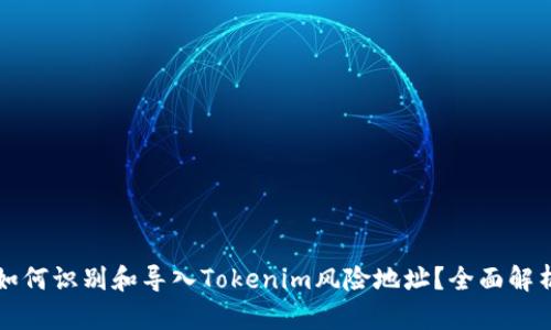 如何识别和导入Tokenim风险地址？全面解析