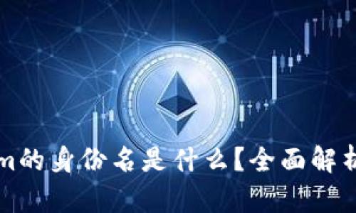 Tokenim的身份名是什么？全面解析与应用