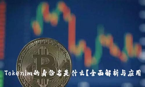 Tokenim的身份名是什么？全面解析与应用