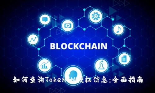 如何查询TokenIM授权信息：全面指南