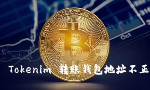 如何解决 Tokenim 转账钱包地址不正确的问题