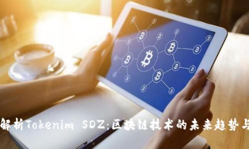 深入解析Tokenim SDZ：区块链技术的未来趋势与应用
