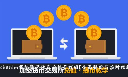 Tokenim钱包资产被盗后能否找回？全面解析与应对措施