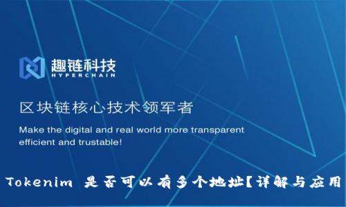 Tokenim 是否可以有多个地址？详解与应用